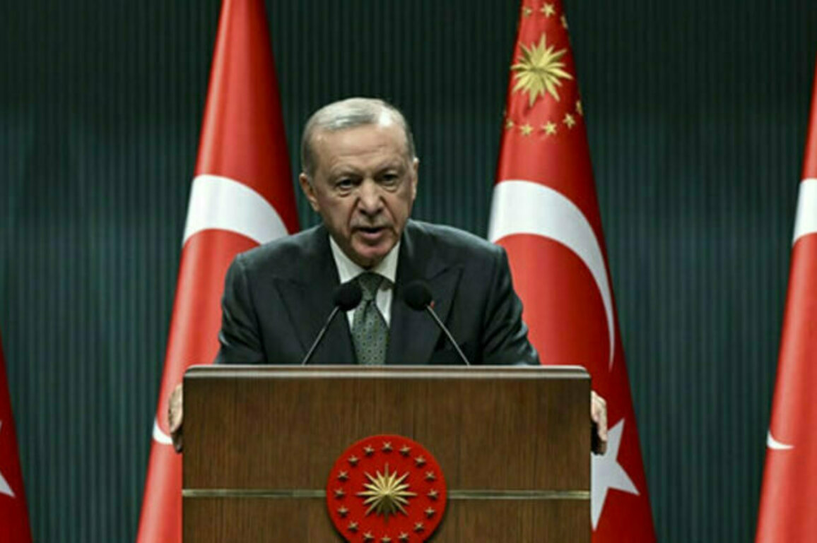 Turkish President reaffirms his countrys support for Syria