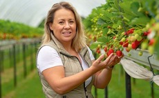 Building a zero-waste strawberry empire  from punnets, to drinks, jam and honey