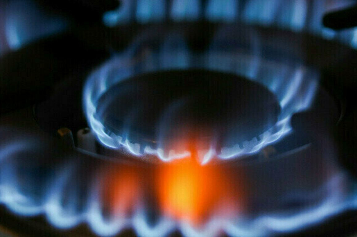 EU gas prices hit record high last year  Eurostat