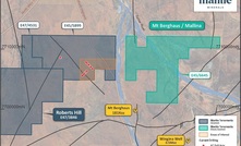 Northern Star boosts Mallina Basin holding with Mantle buy