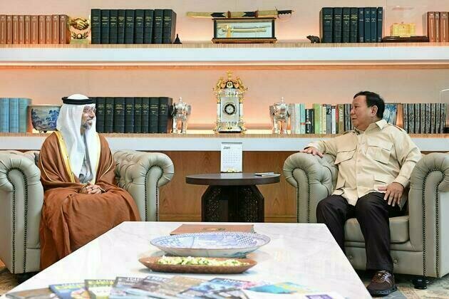 UAE, Indonesia review consolidating cooperation across various fields