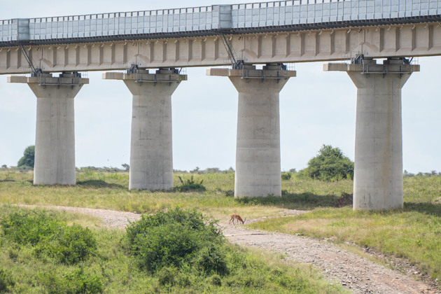 KENYA-NAIROBI-CHINA-RAILWAY PROJECT-ECOLOGICAL PRESERVATION