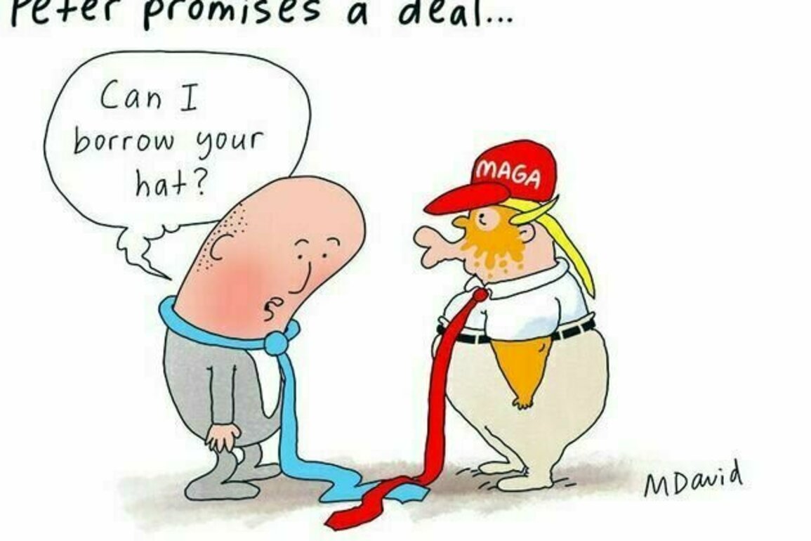 Coalition's resurrection hopes slump as punters dump Temu Trump