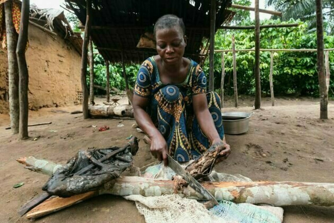Eating wild meat carries serious health risks - why it still happens along the Kenya-Tanzania border