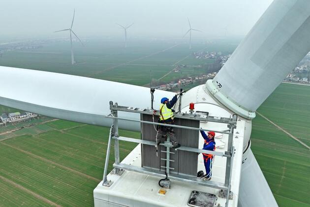 Interview: China produces leading solutions for global sustainable development, says business council leader