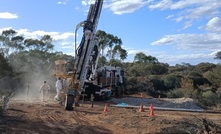 Lithium drilling at Mt Alexander