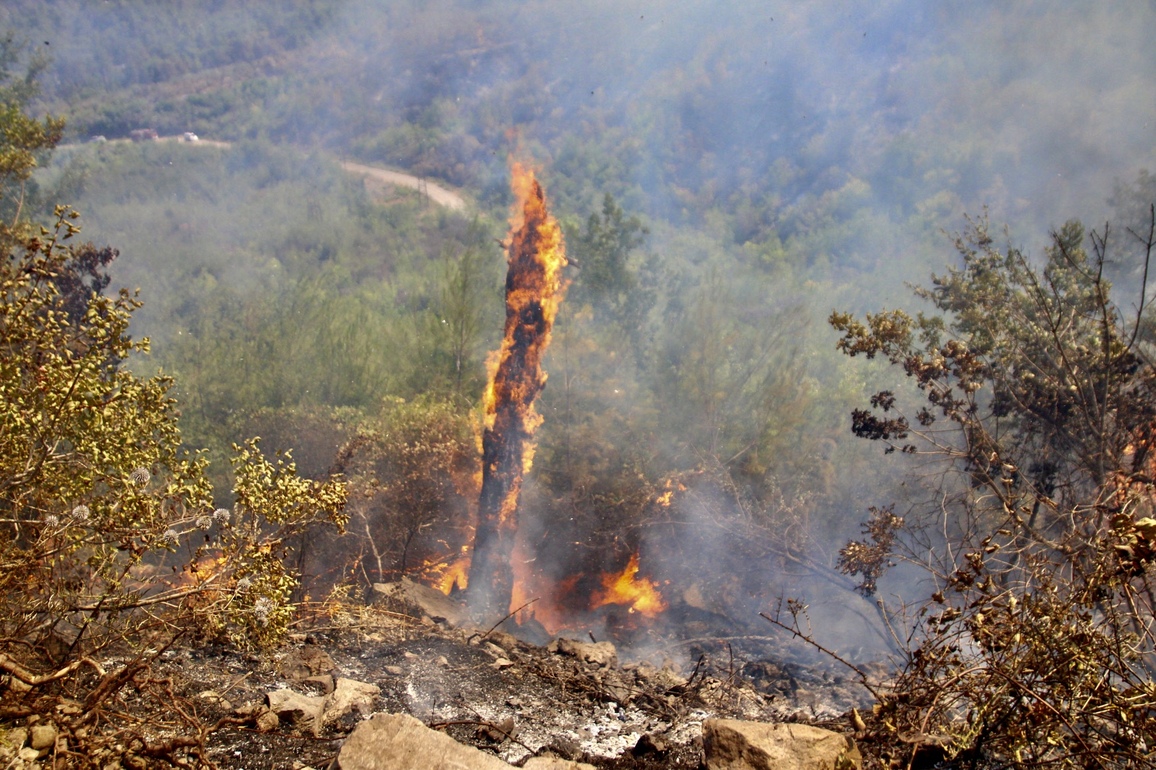SYRIA-LATAKIA-WILDFIRE