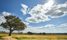 Dubbo, New South Wales. Credit: ASM