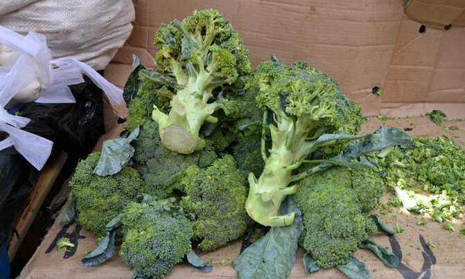 Broccoli out of season, cauliflower price still low Broccoli out of season, cauliflower price still low