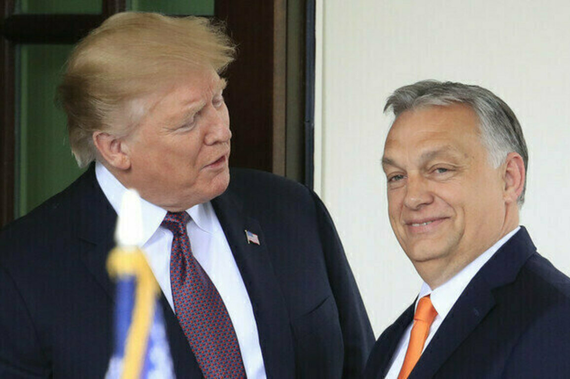Orban reveals what he told Trump about Russian oil