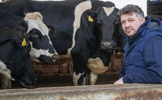 Swedish imports help dairy trial cross-breeding