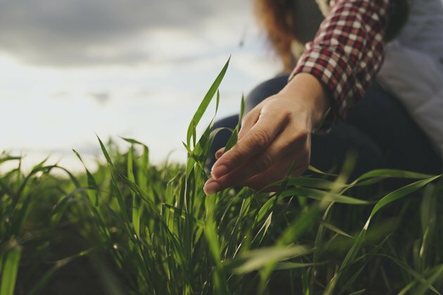 5 technologies that will help make the food system carbon neutral
