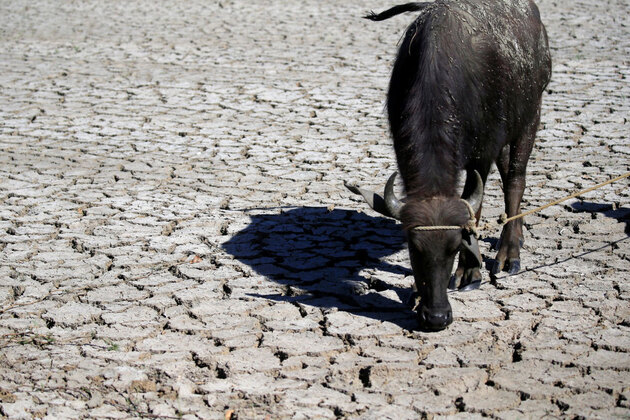 UN Chief warns of extreme weather risks, urges urgent climate action ahead of El Nino