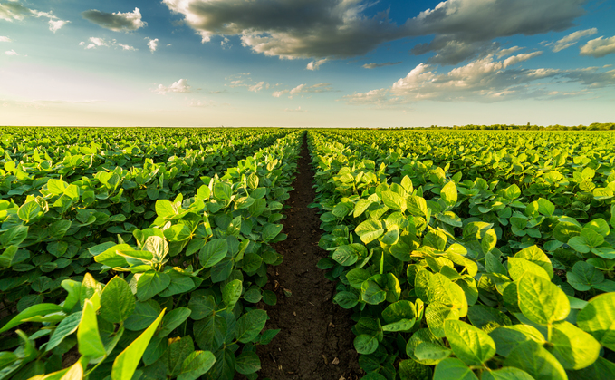 Sowing climate resilience: Farmers to share £15m Landscape Recovery funding round