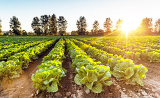 Idinvest in €12m round for M2i