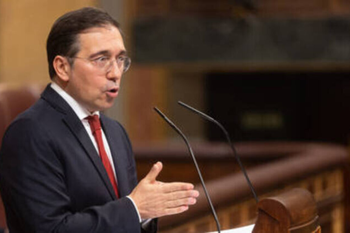 EU needs another 'coalition of the willing' to defend itself - Spanish FM