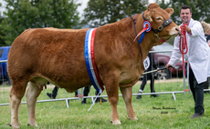 Strong turnout of livestock at Hope Show