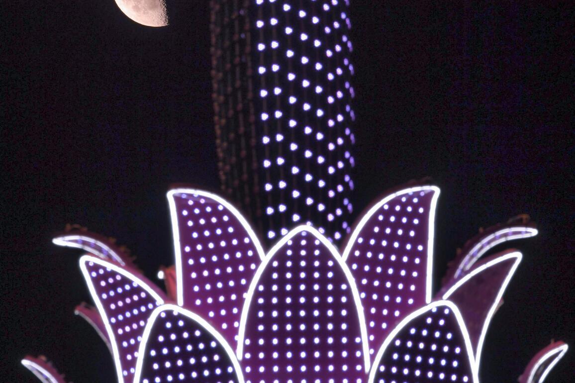 #CHINA-HEILONGJIANG-LAST QUARTER MOON (CN)