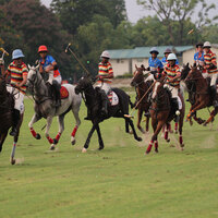 Historic Polo showdown: India vs world no. 1 Argentina returns to Delhi
