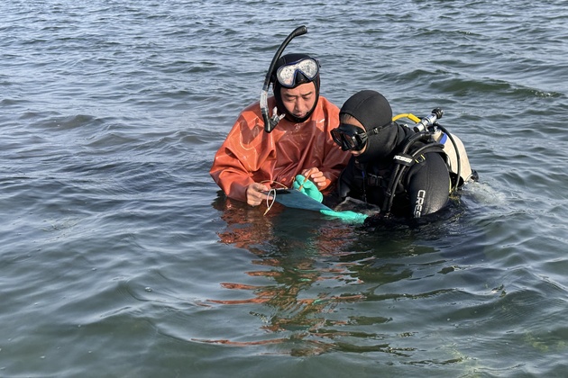 CHINA-SHANDONG-SEAGRASS-ECOLOGICAL RESTORATION (CN)