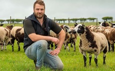 Inter-breed win helped raise profile of Dutch Spotted breed