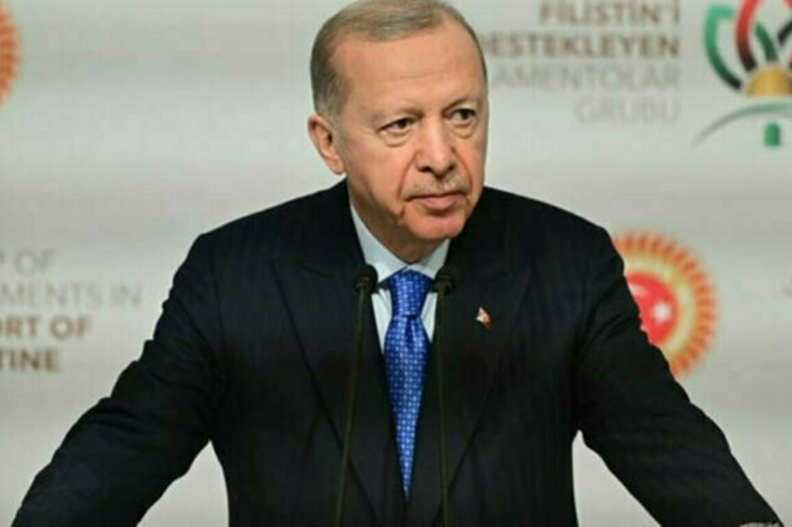 Erdogan: Israel is trying to prevent stability in Syria and Lebanon