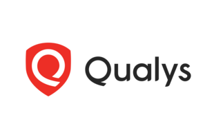 Qualys: 'We're not going to be able to scale without the channel'
