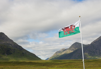 Wales bans untested livestock movement owing to bluetongue threat