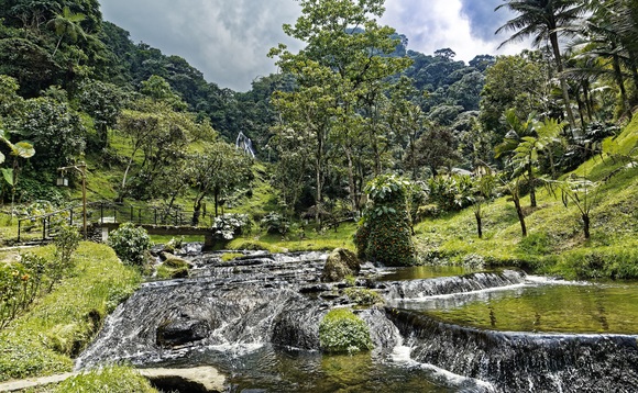 Redington's offsetting projects include forest protection in Colombia