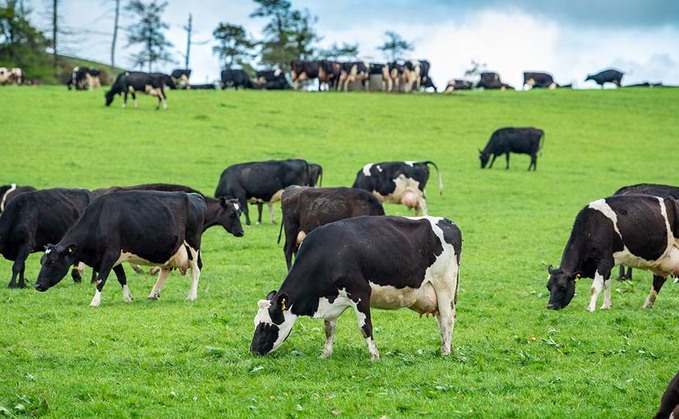 Dairy farmers cannot absorb processors' rising costs