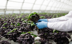 Cinven acquires agri-food business Planasa for €450m