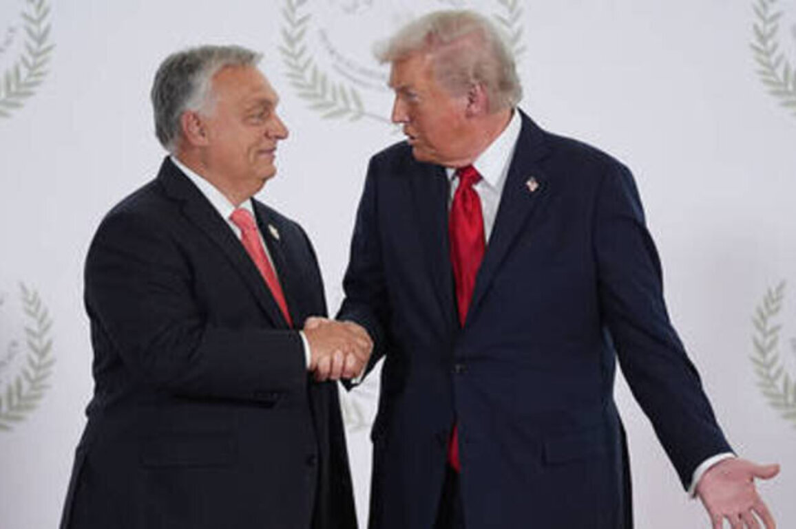 Trump grasps Europe's 'civilizational decline' - Orban