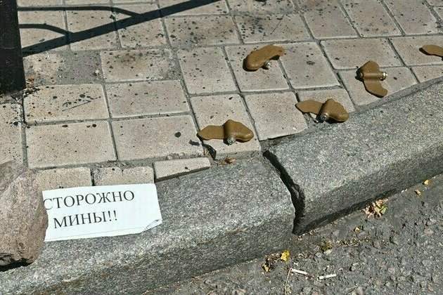 Zelensky withdraws Ukraine from landmark anti-mine treaty