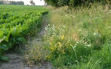 Arable farmers asked for their views on agri-environmental schemes