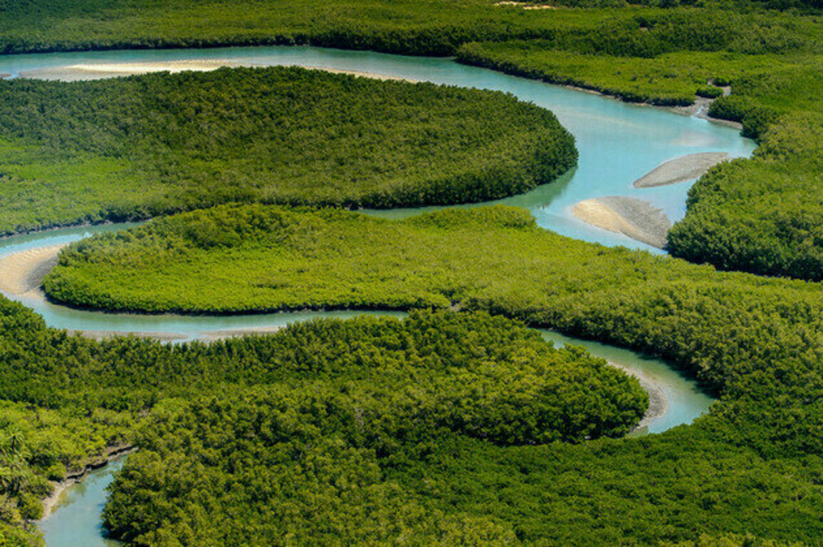 Two African island sites added to UNESCO World Heritage list 