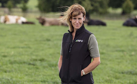 VIDEO: On International Women's Day Minette Batters speaks to African female farmer about life in ag