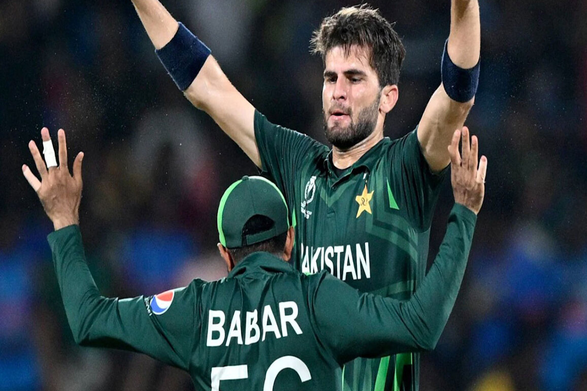 Pakistan's Shaheen Shah Afridi tops ODI strike rate charts