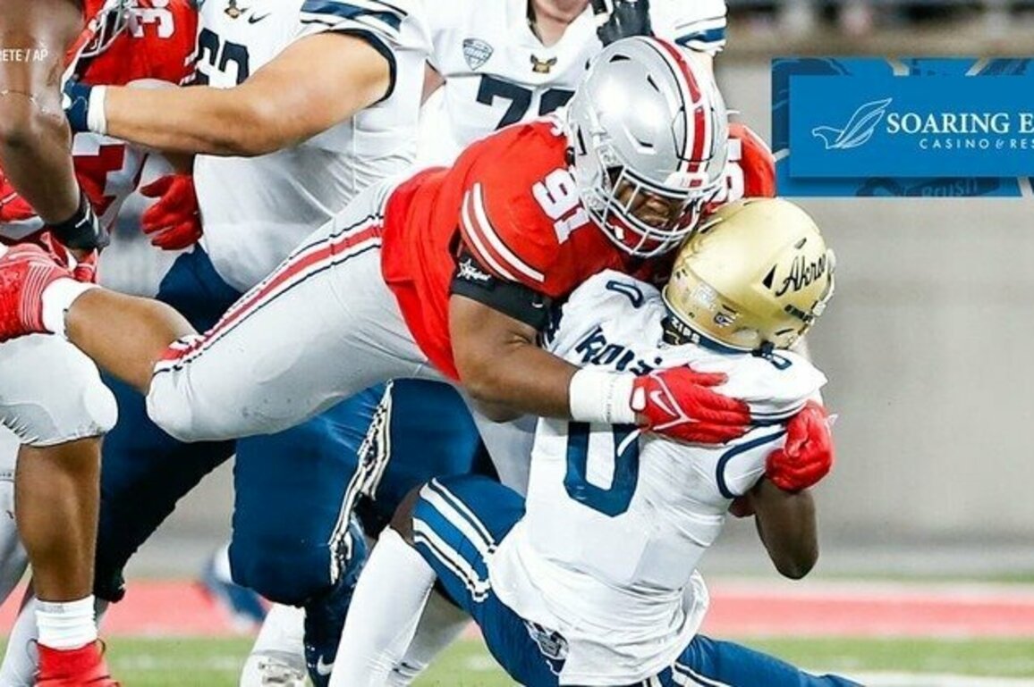 Lions draft defensive lineman Tyleik Williams