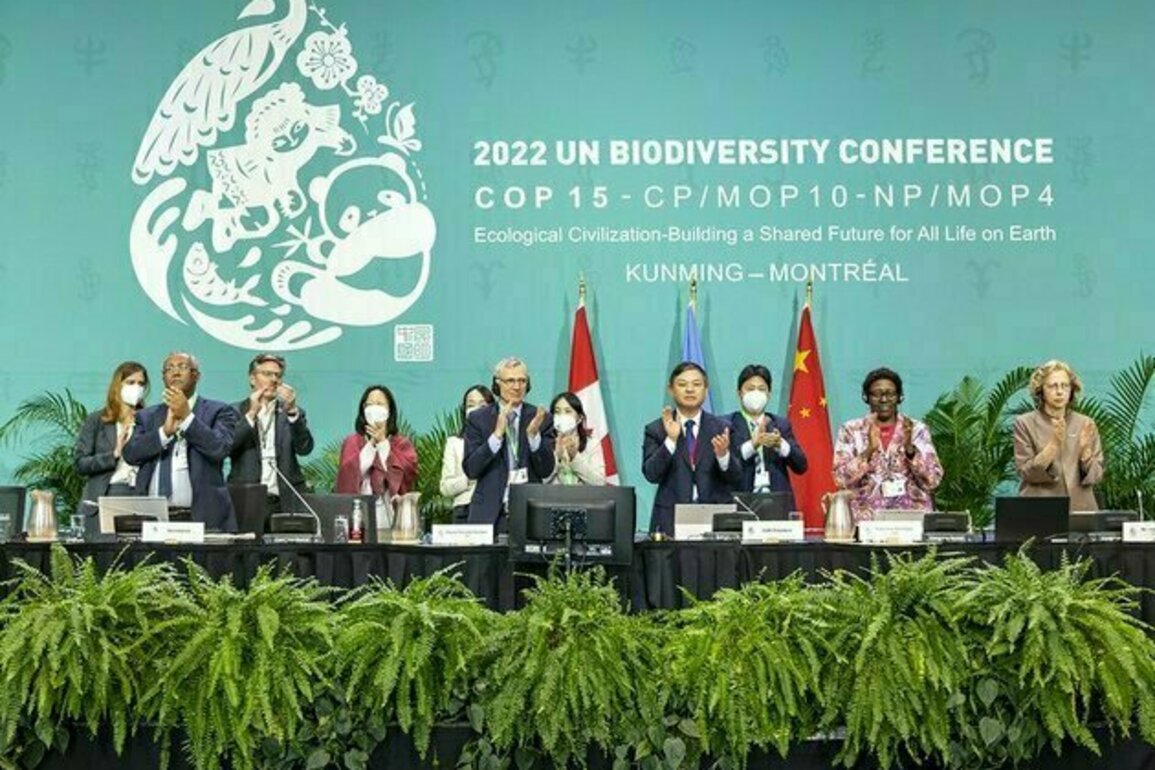 2030 Biodiversity Target Was Always a Long Shot, UK Official Says
