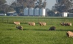  Plant Health Australia has released its latest report on biosecurity
