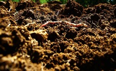 Cereals Live: Using fermented organic matter to boost crop and soil health