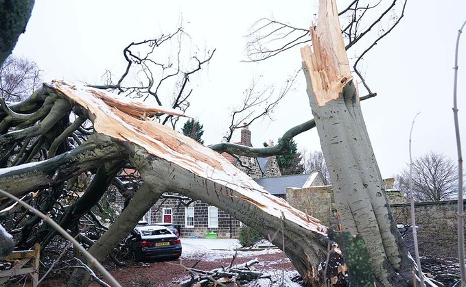 Storm Arwen wreaks havoc across Britain's countryside