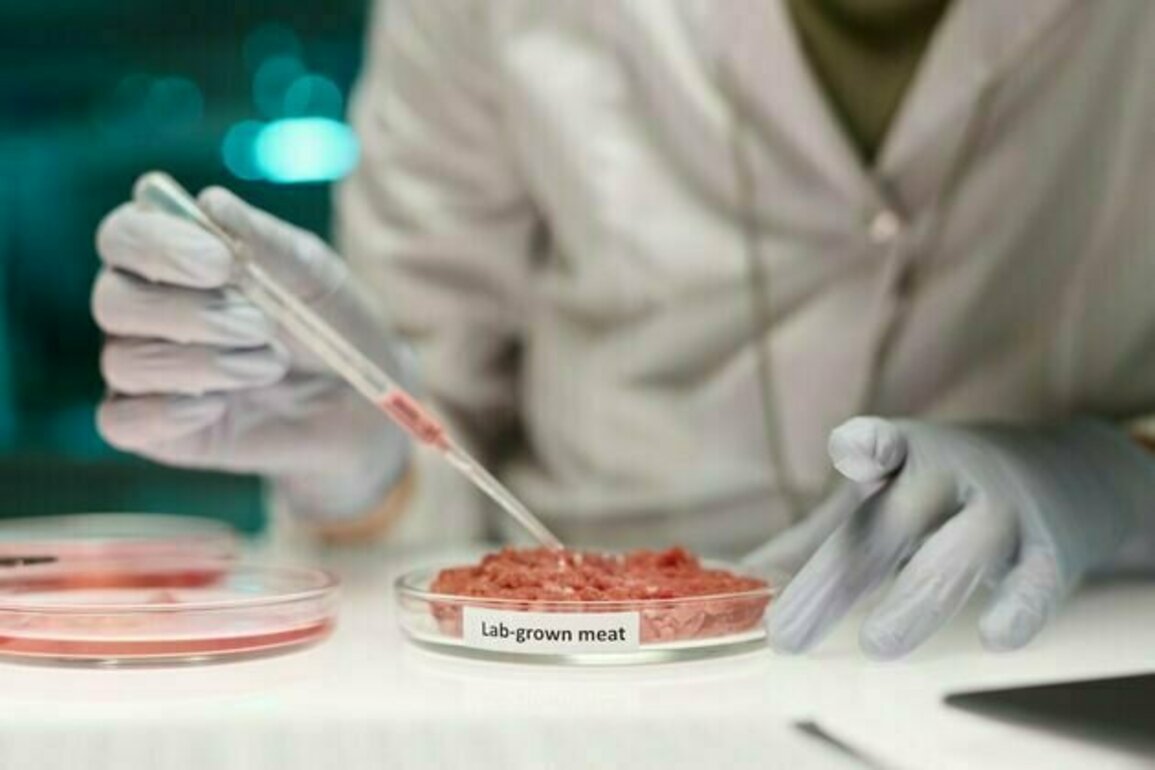 Lab-grown meat: you may find it icky, but it could drive forward medical research