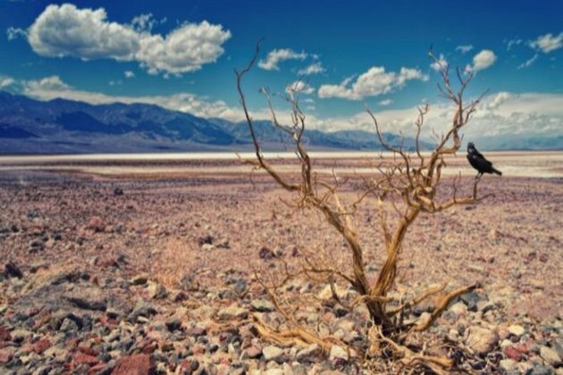 Human actions accelerate climate-driven floods, droughts