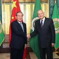 China voices support for Arab nations' unity, development -- premier