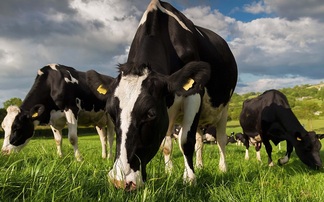 ļֱ must get greater help to measure methane on farm, say experts