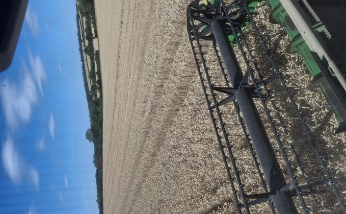 Partner Insight: How data sharing cut nitrogen use and added £8,000 a year at Bottom Farm