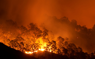 HANetf launches Europe's first catastrophe bond ETF