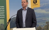 Wales' First Minister emphasises importance of wildlife control in bovine TB strategy