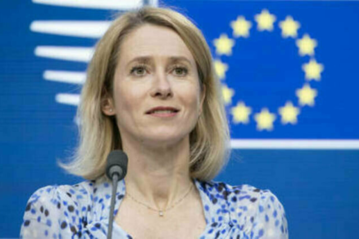 Split among 'coalition of the willing' on Ukraine - EU top diplomat
